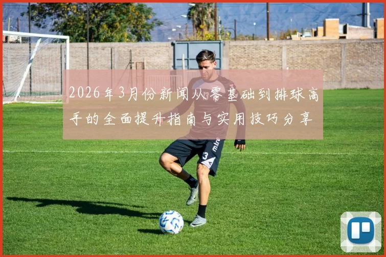 2026年3月份新闻从零基础到排球高手的全面提升指南与实用技巧分享