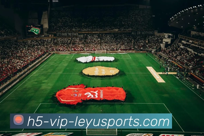 乐鱼app下载发展历程